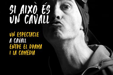 si això és un cavall